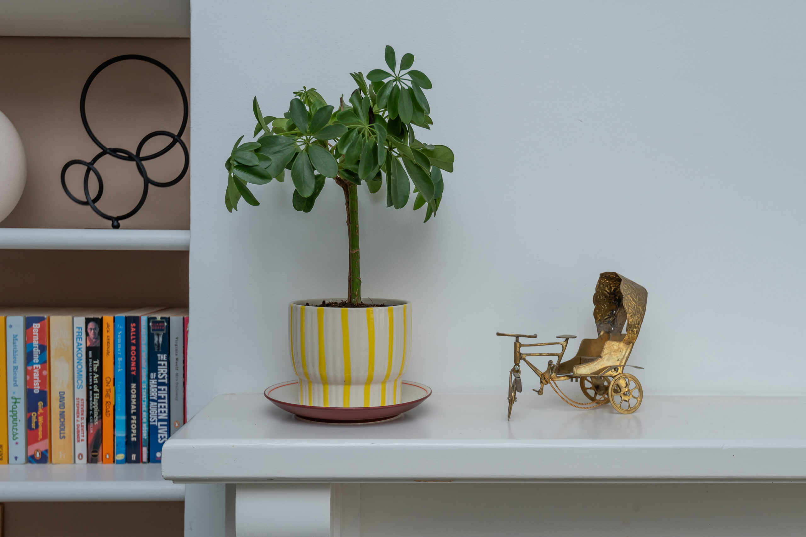 Stratford Property Photography